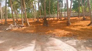 Luxury Land for Sale in Panadura Hirana 457 Bus Road