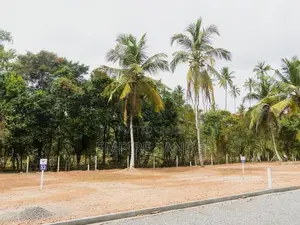 Katunayake Road Exclusive Land Plots for Sale Kimbulapitiya