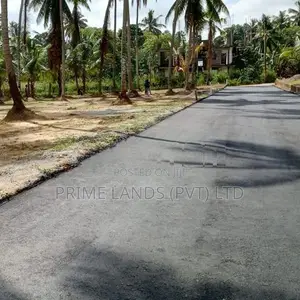 වේයන්ගොඩ නයිවල කදිම බිම්කොටස්