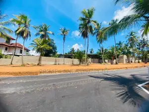 කදාන නගරයට ලගින්ම රිලවුල්ල සුපිරි බිම්කොටස්