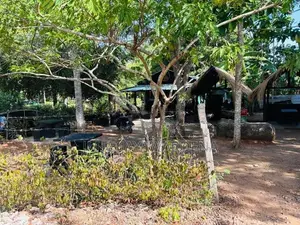 අනුරාධපුර තිසාවැව අසල ඉඩමක් විකිනිමට