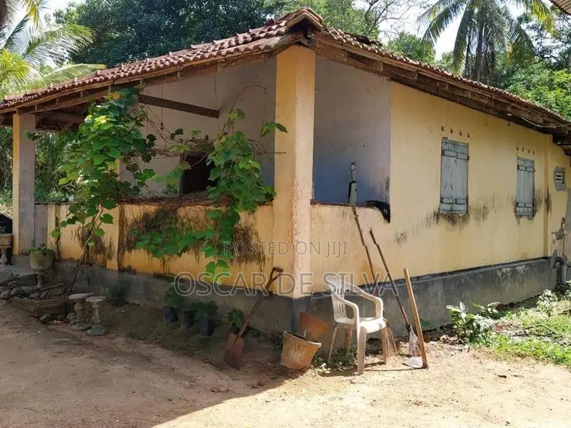 Land for Sale Bodhimulla