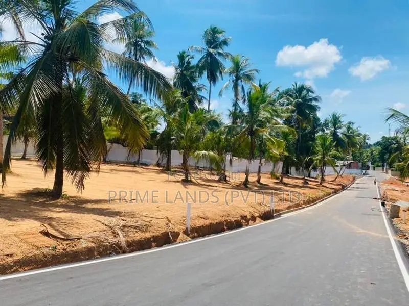 කදාන නගරයට ලගින්ම රිලවුල්ල සුපිරි බිම්කොටස්