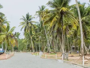 Katunayake Road Exclusive Land Plots for Sale Kimbulapitiya