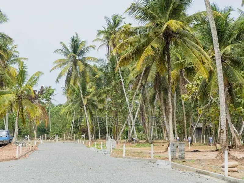 Katunayake Road Exclusive Land Plots for Sale Kimbulapitiya