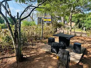 අනුරාධපුර තිසාවැව අසල ඉඩමක් විකිනිමට