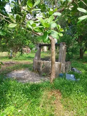 Land for Sale Bodhimulla