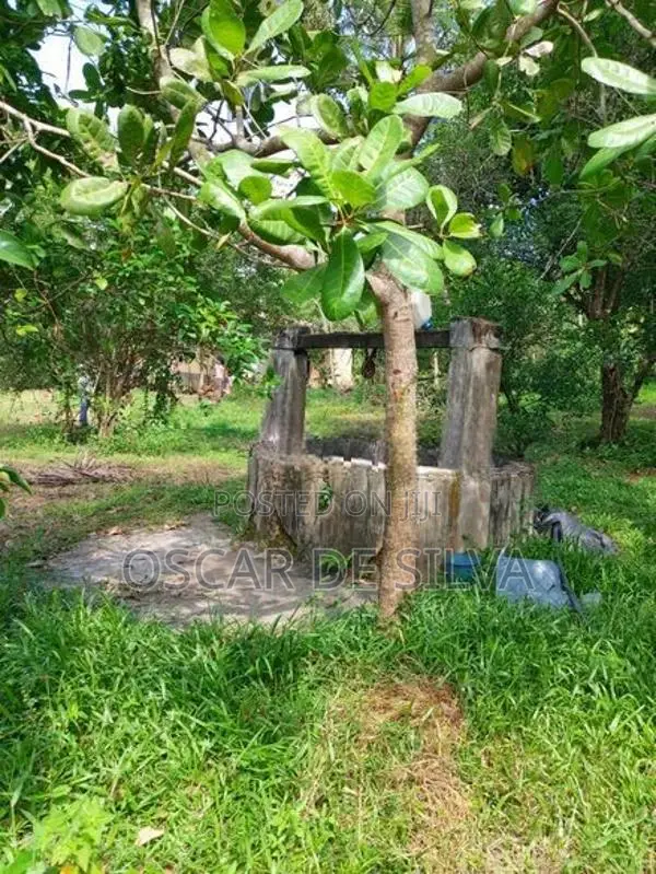 Land for Sale Bodhimulla