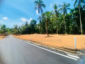 කදාන නගරයට ලගින්ම රිලවුල්ල සුපිරි බිම්කොටස්