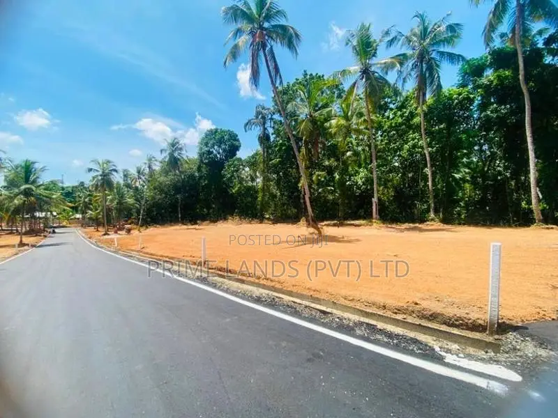 කදාන නගරයට ලගින්ම රිලවුල්ල සුපිරි බිම්කොටස්