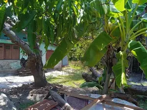 Land for Sale Batticaloa