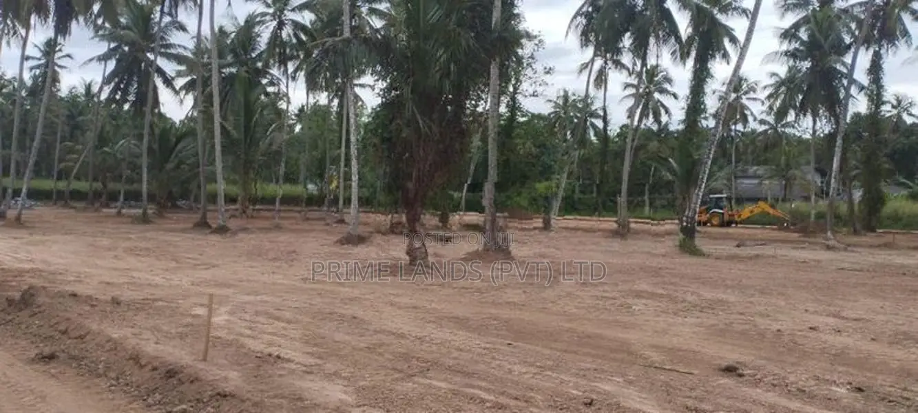 වේයන්ගොඩ නයිවල කදිම බිම්කොටස්