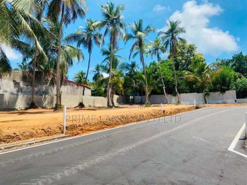 කදාන නගරයට ලගින්ම රිලවුල්ල සුපිරි බිම්කොටස්