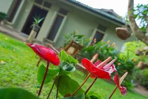 House for Rent - Tangalle