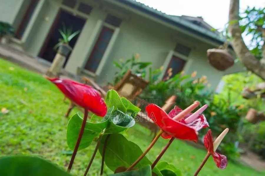 House for Rent - Tangalle