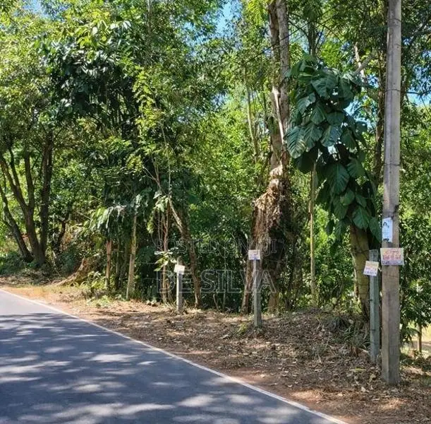 Land for Sale in Sirimalwatta, Kandy – 21.9 Perches