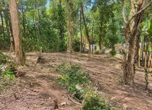Land for Sale in Sirimalwatta, Kandy – 21.9 Perches