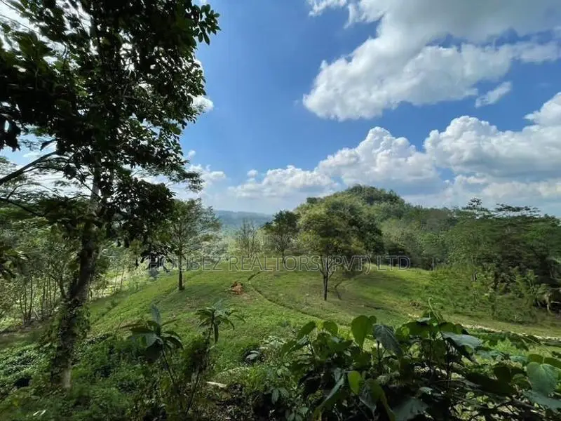 30-Acre Tea Estate Eco Tourism Land for Sale Hiniduma