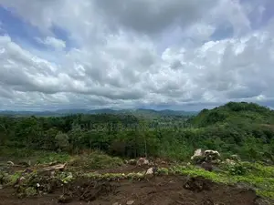 30-Acre Tea Estate Eco Tourism Land for Sale Hiniduma