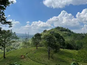 30-Acre Tea Estate Eco Tourism Land for Sale Hiniduma