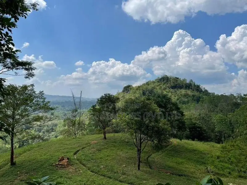 30-Acre Tea Estate Eco Tourism Land for Sale Hiniduma