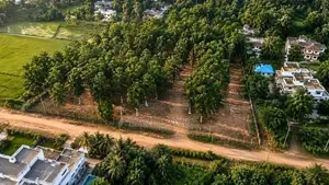 Commercial Land for Sale in Hokandara
