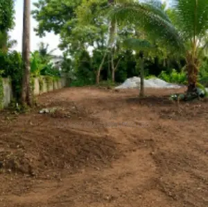 Prime Residential Land for Sale – Piliyandala Town