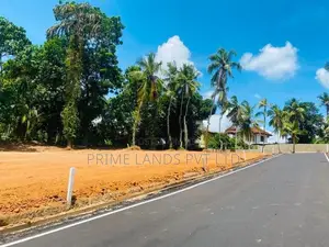 කදාන නගරයේන් ඉඩමම