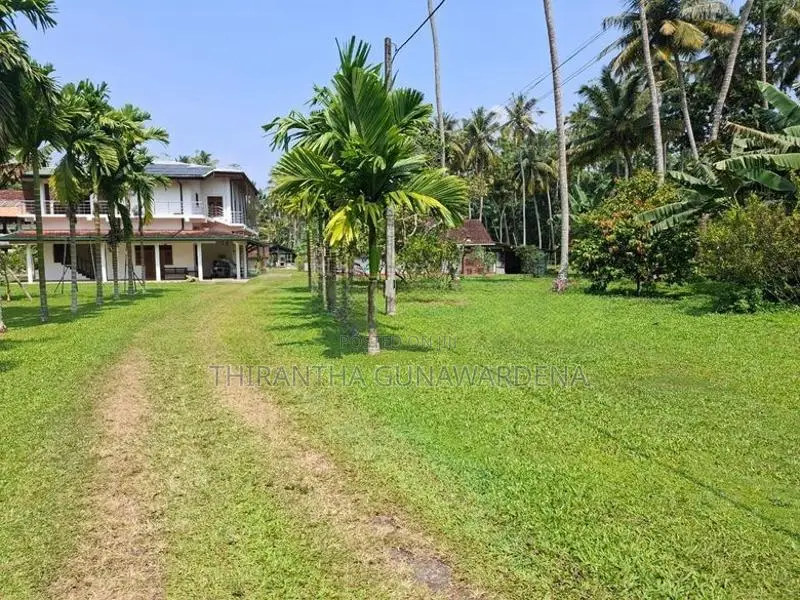 Land for Sale Talpe
