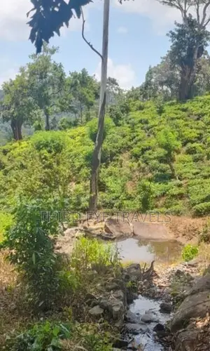 10 Acre Tea Estate for Sale in Matale