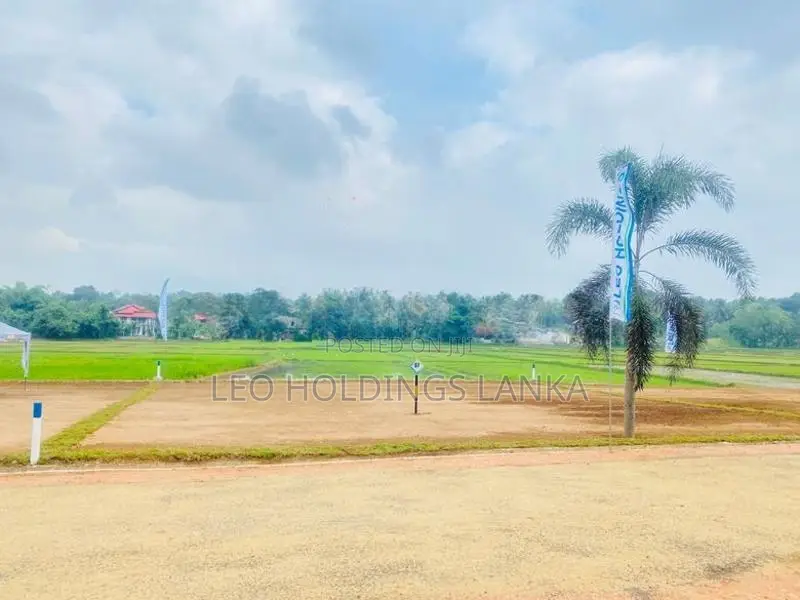 කුරුණෑගල - පුත්තලම පැල්ලන්දෙනිය සුන්දර වෙල්යායකට මුහුණලා බිම් කොටස්