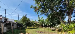 Bare Land for Sale in Kotte