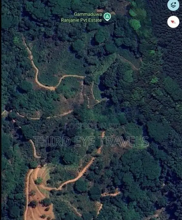 10 Acre Tea Estate for Sale in Matale