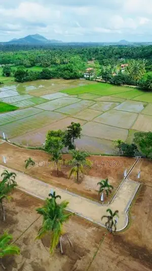කුරුණෑගල - පුත්තලම පැල්ලන්දෙනිය සුන්දර වෙල්යායකට මුහුණලා බිම් කොටස්