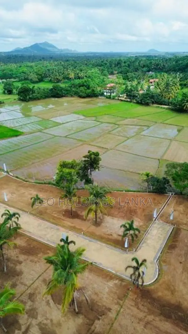 කුරුණෑගල - පුත්තලම පැල්ලන්දෙනිය සුන්දර වෙල්යායකට මුහුණලා බිම් කොටස්