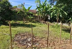 Bare Land for Sale in Kotte