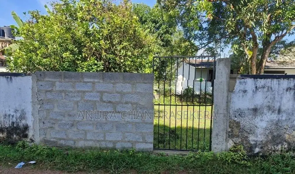 Bare Land for Sale in Kotte