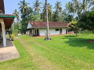 Land for Sale Talpe