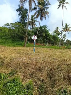 නාරම්මල ඉඩමක් විකිණීමට