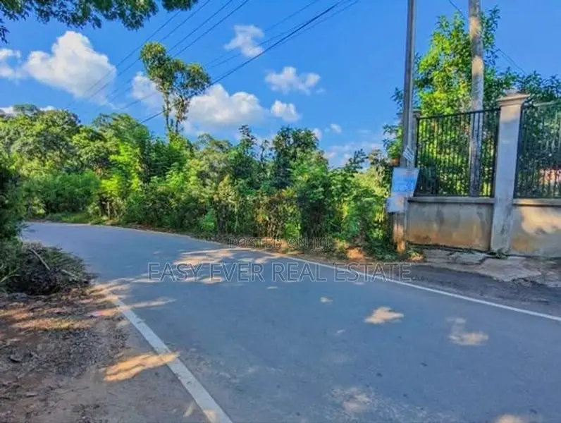 කඩුගන්නා⁣වෙන් කාපට් පාරට මුහුණලා වටිනා ඉඩම් කැබලි දෙකක් / ST 15227