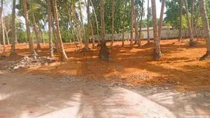 Facing to 457 panadura Hirana Road Commercial Land Plots