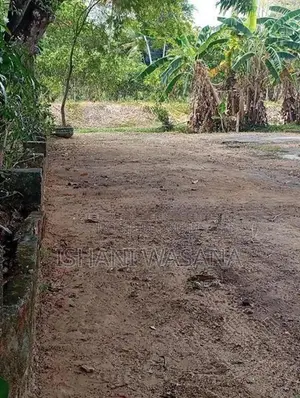 Land for Sale Monaragala