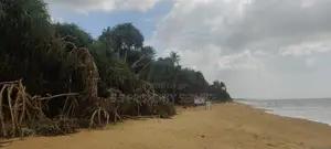 81 perches Land For Sale in Waskaduwa (SSPL-409)