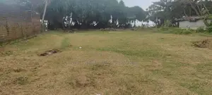 81 perches Land For Sale in Waskaduwa (SSPL-409)