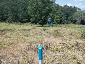 Land for Sale in Pussallawa