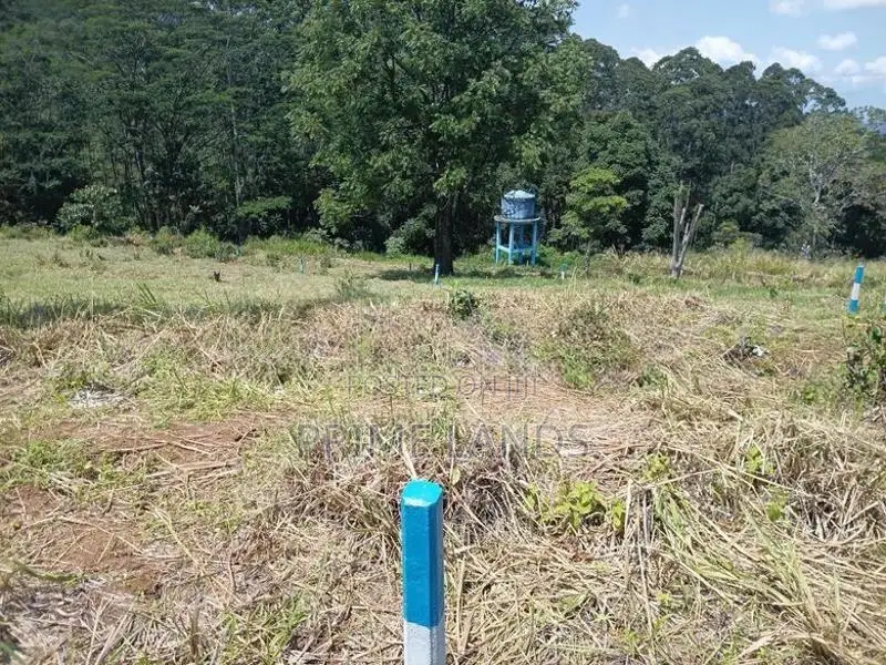 Land for Sale in Pussallawa