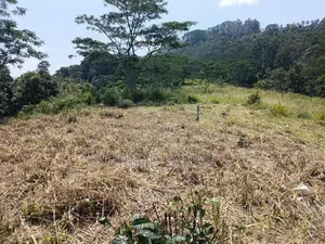 Land for Sale in Pussallawa