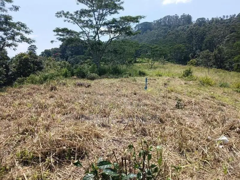 Land for Sale in Pussallawa