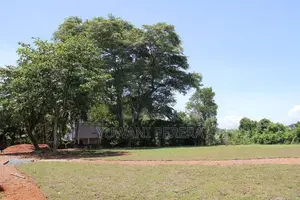 Prime Waterfront Land for Sale in Kalutara – (Kalu Ganga Frontage)