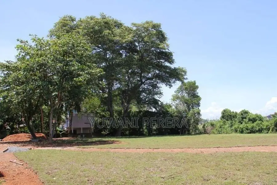 Prime Waterfront Land for Sale in Kalutara – (Kalu Ganga Frontage)
